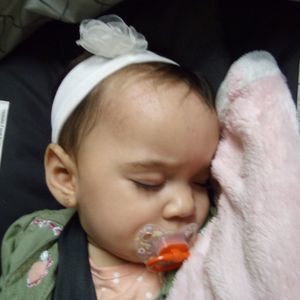 Meet your Posher, Rose